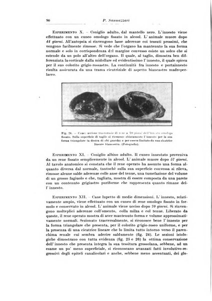 Archivio italiano di chirurgia