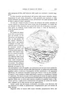 giornale/PUV0110166/1925/V.12/00000247