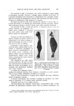 giornale/PUV0110166/1925/V.12/00000309