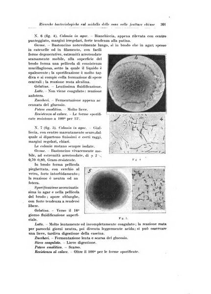 Archivio italiano di chirurgia