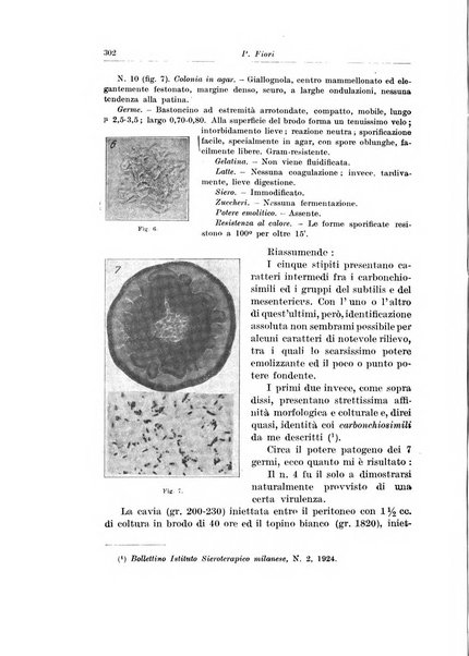 Archivio italiano di chirurgia