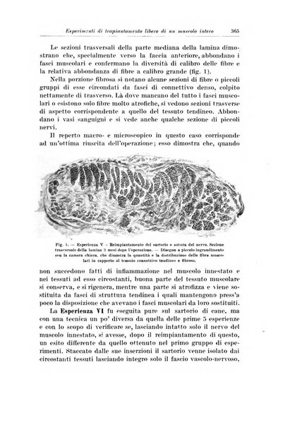 Archivio italiano di chirurgia