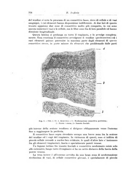 Archivio italiano di chirurgia