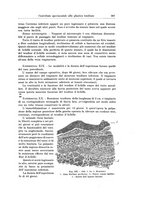 giornale/PUV0110166/1925/V.12/00000415