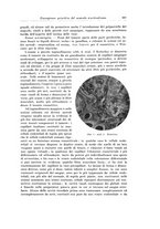 giornale/PUV0110166/1925/V.12/00000425