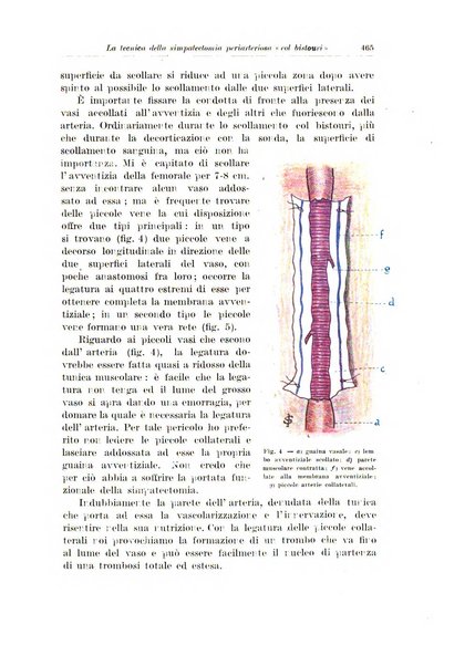 Archivio italiano di chirurgia