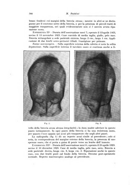 Archivio italiano di chirurgia