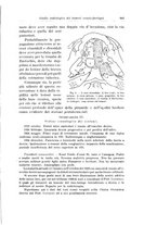 giornale/PUV0110166/1925/V.12/00000673