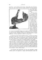 giornale/PUV0110166/1925/V.12/00000684
