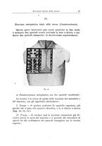 giornale/PUV0110166/1925/V.13/00000031