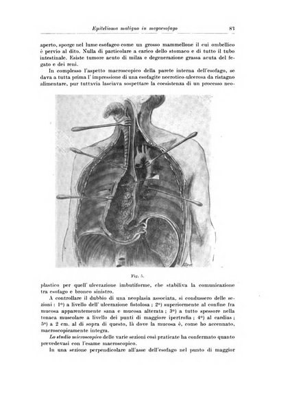 Archivio italiano di chirurgia