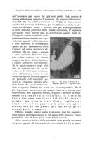 giornale/PUV0110166/1925/V.13/00000215