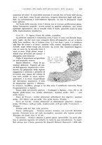 giornale/PUV0110166/1925/V.13/00000253