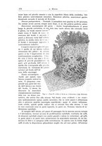 giornale/PUV0110166/1925/V.13/00000254