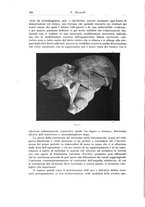 giornale/PUV0110166/1925/V.13/00000378