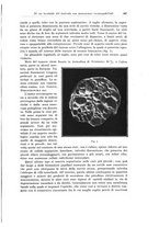 giornale/PUV0110166/1925/V.13/00000585