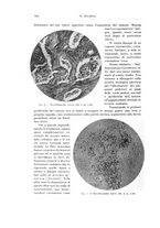 giornale/PUV0110166/1925/V.13/00000652