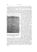 giornale/PUV0110166/1925/V.14/00000032