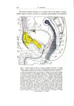 giornale/PUV0110166/1925/V.14/00000172