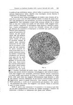 giornale/PUV0110166/1925/V.14/00000203