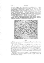 giornale/PUV0110166/1925/V.14/00000212