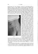 giornale/PUV0110166/1925/V.14/00000364