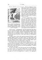 giornale/PUV0110166/1925/V.14/00000374