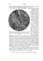 giornale/PUV0110166/1925/V.14/00000598