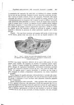 giornale/PUV0110166/1925/V.14/00000653