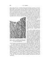 giornale/PUV0110166/1925/V.14/00000660