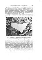 giornale/PUV0110166/1926/V.15/00000163