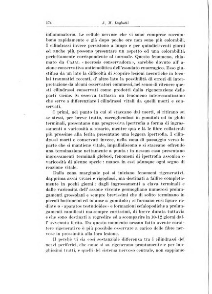 Archivio italiano di chirurgia