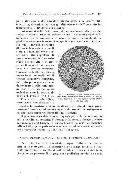 Archivio italiano di chirurgia