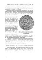 giornale/PUV0110166/1926/V.15/00000199