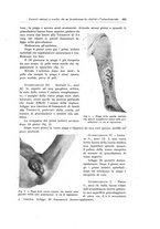 giornale/PUV0110166/1926/V.15/00000385