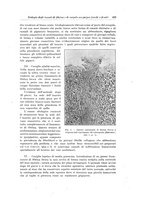 giornale/PUV0110166/1926/V.15/00000451