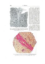 giornale/PUV0110166/1926/V.15/00000452