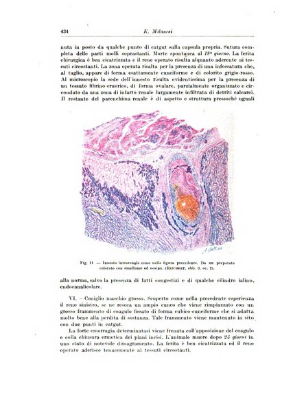 Archivio italiano di chirurgia