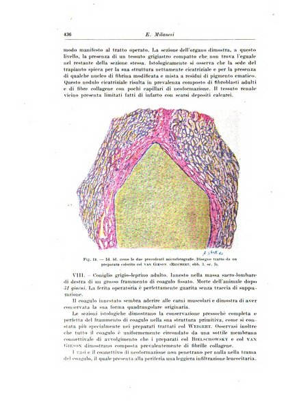 Archivio italiano di chirurgia