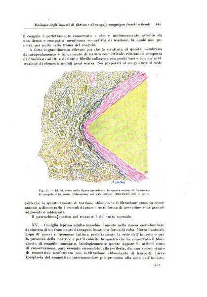 Archivio italiano di chirurgia