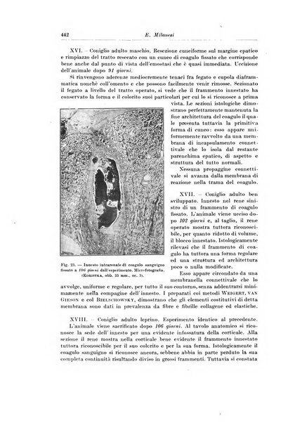 Archivio italiano di chirurgia