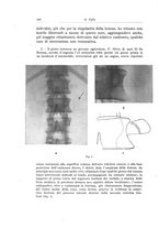 giornale/PUV0110166/1926/V.15/00000516