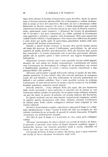 Archivio italiano di chirurgia