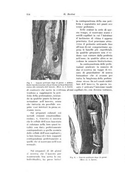 Archivio italiano di chirurgia