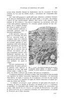 giornale/PUV0110166/1926/V.16/00000373