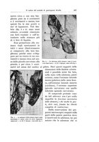 giornale/PUV0110166/1926/V.16/00000479