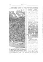 giornale/PUV0110166/1926/V.16/00000568