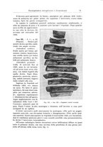 giornale/PUV0110166/1926/V.16/00000743