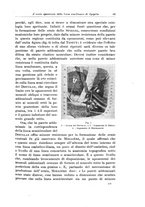 giornale/PUV0110166/1926/V.17/00000059
