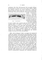 giornale/PUV0110166/1926/V.17/00000066